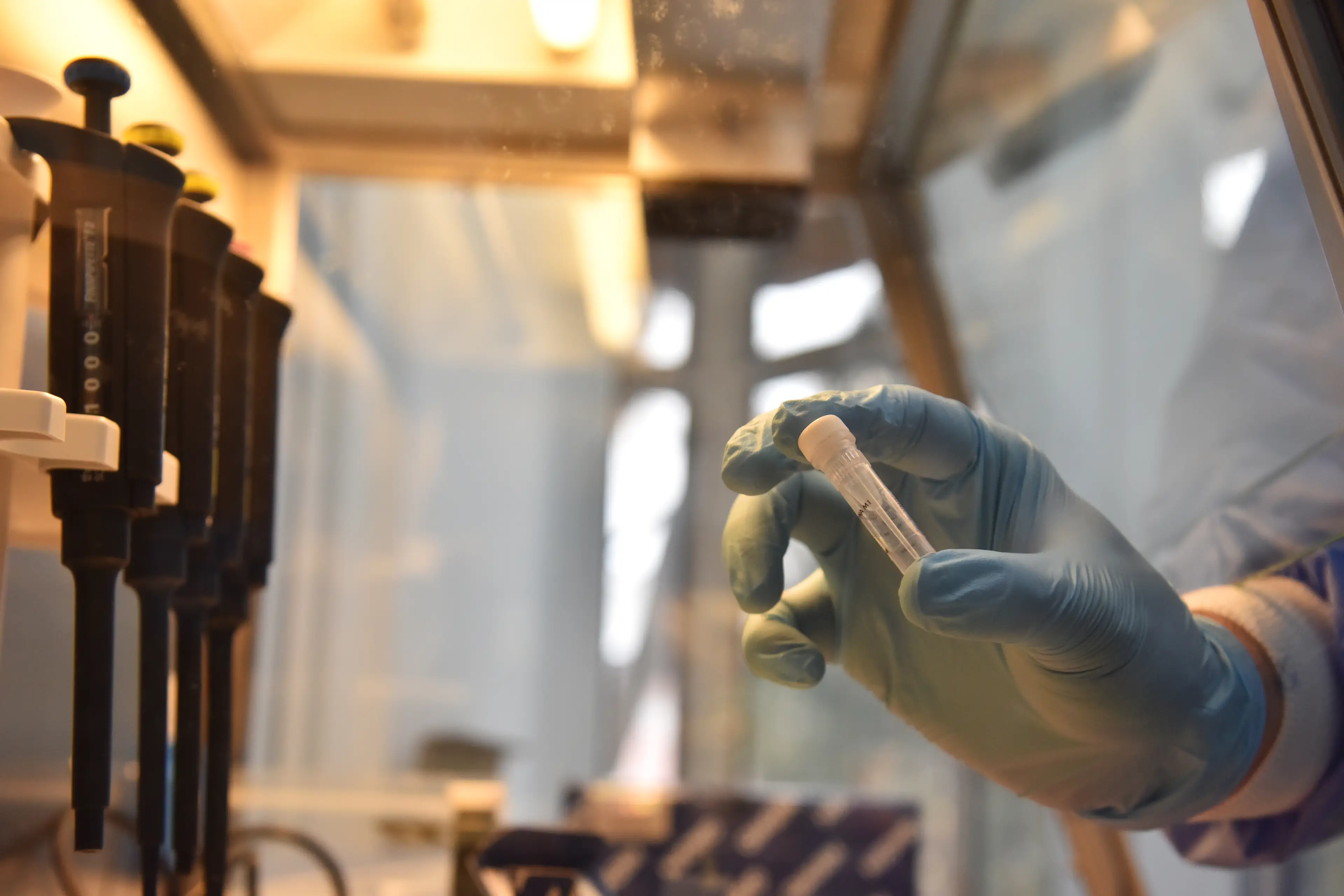 The DNA test revealed she had over 20 siblings.