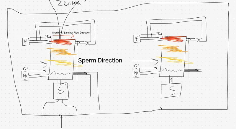 A diagram of the racetrack (Spermracing.com)