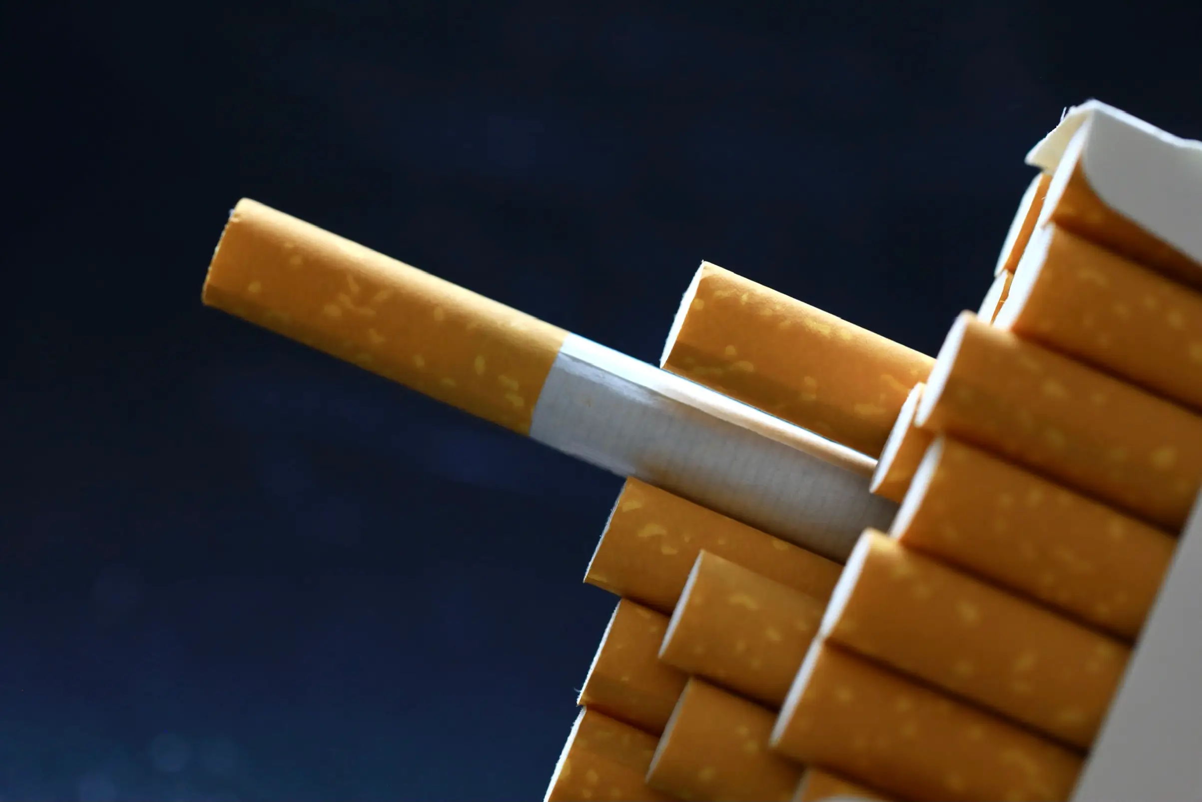 There's no need to panic anytime soon, because you'd have to eat over 10kg of eggplant to even get close to the nicotine level of one cigarette. (Getty Stock Images/Douglas Sacha) 