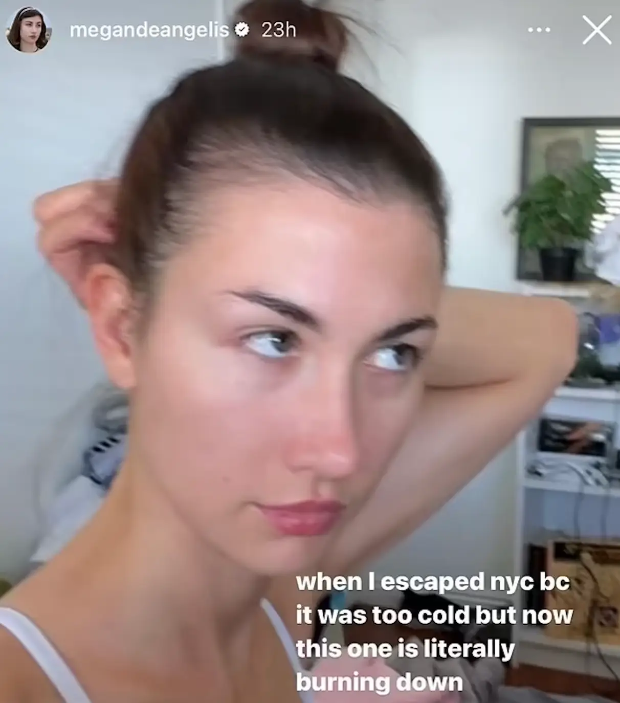 The post was offensive to some followers (megandeangelis/Instagram)
