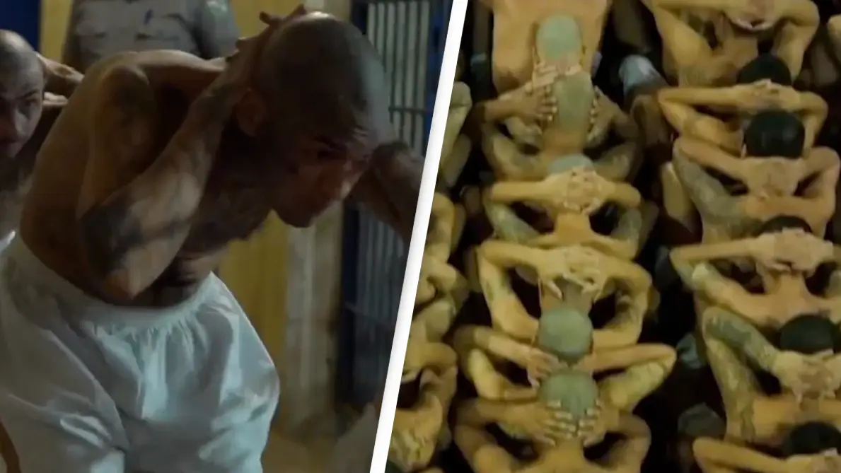 @nayibbukele/Twitter