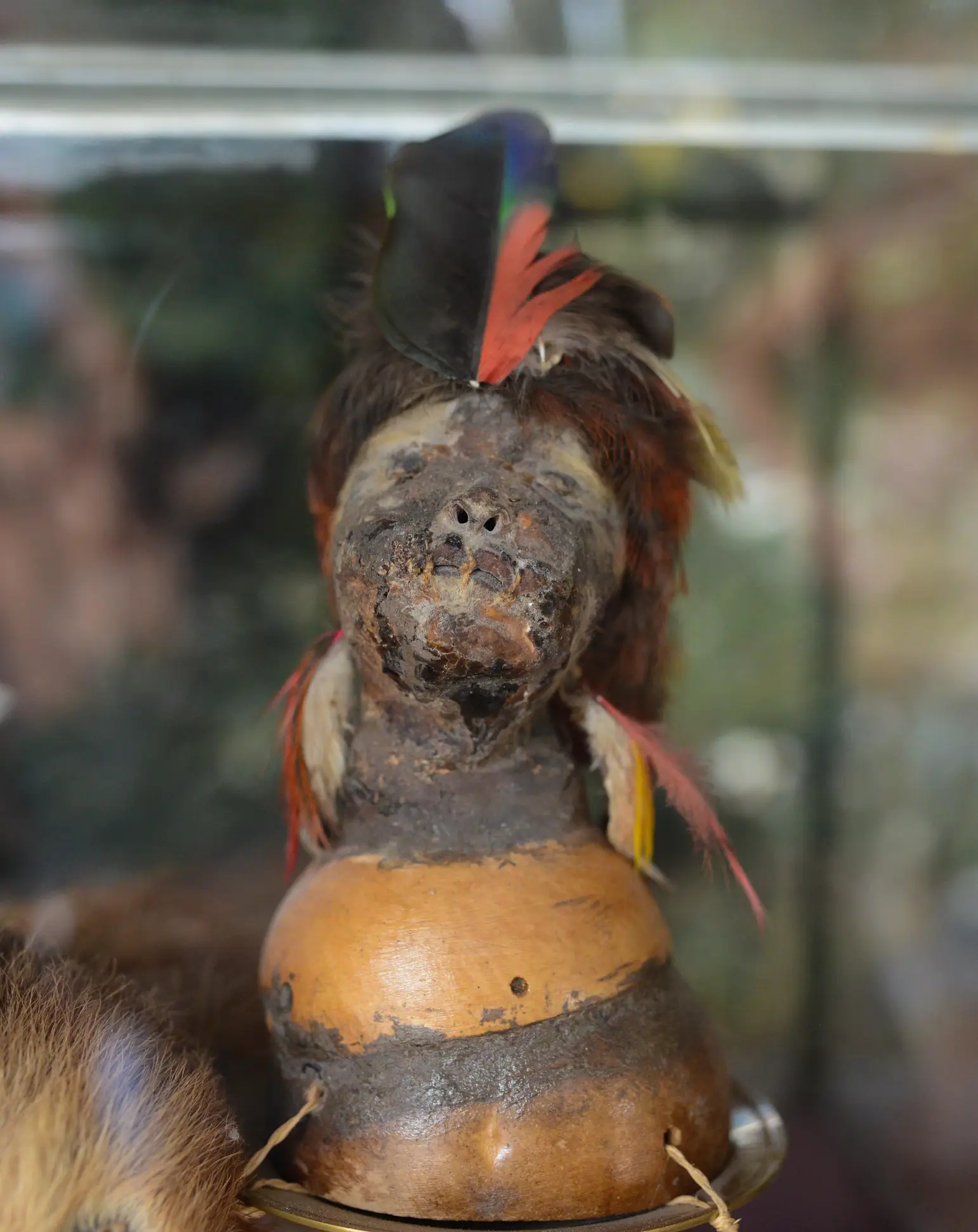 An ancient shrunken head in Ecuador (Getty Images)