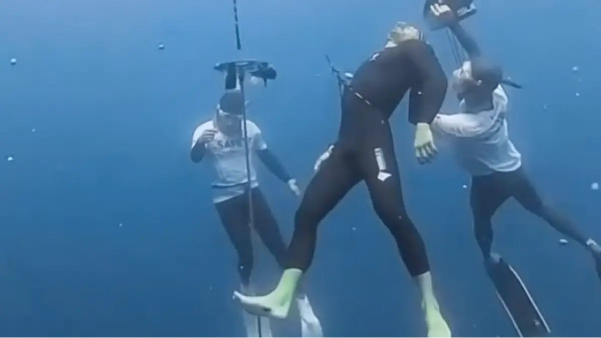 Instagram/maverick2go