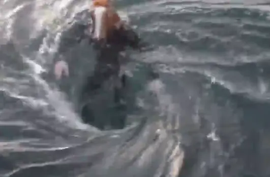 Jacob Cockle died after being dragged into a whirlpool (Twitter/@Morbidful)