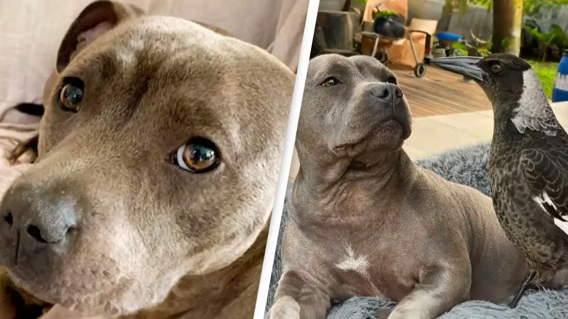 Instagram/@peggyandmolly