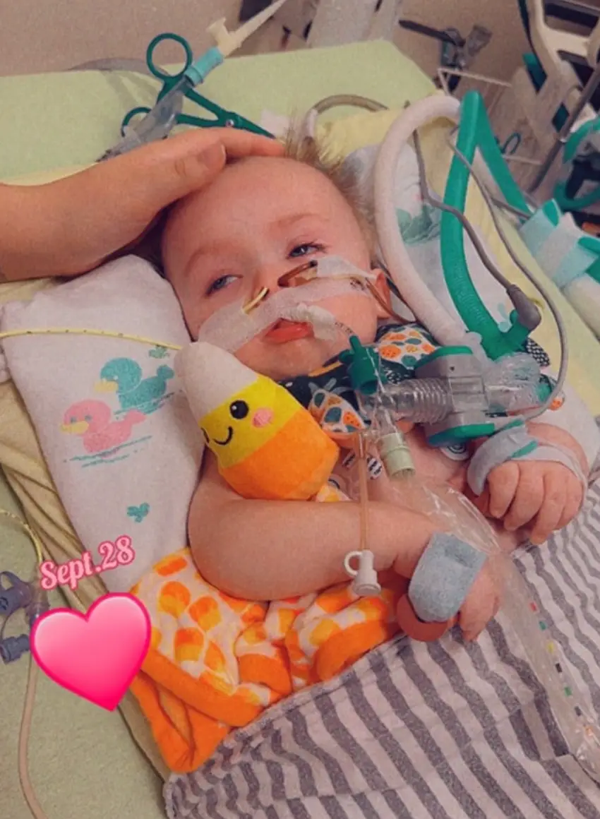 The young boy has been left fighting for his life (Updates on baby Waylon/Facebook)