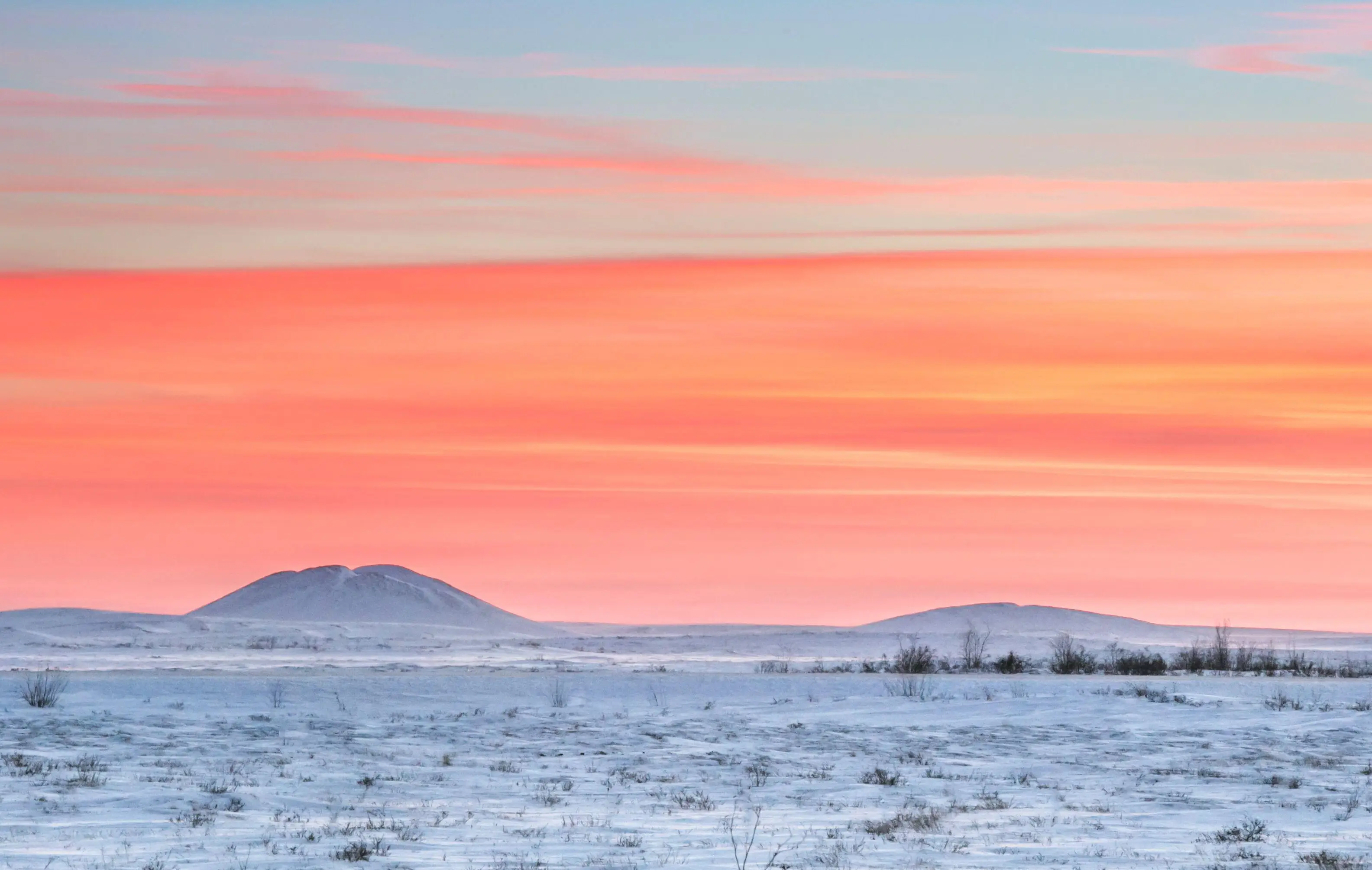 As the world warms and the permafrost melts, we'll start discovering more - that might not be an entirely good thing.