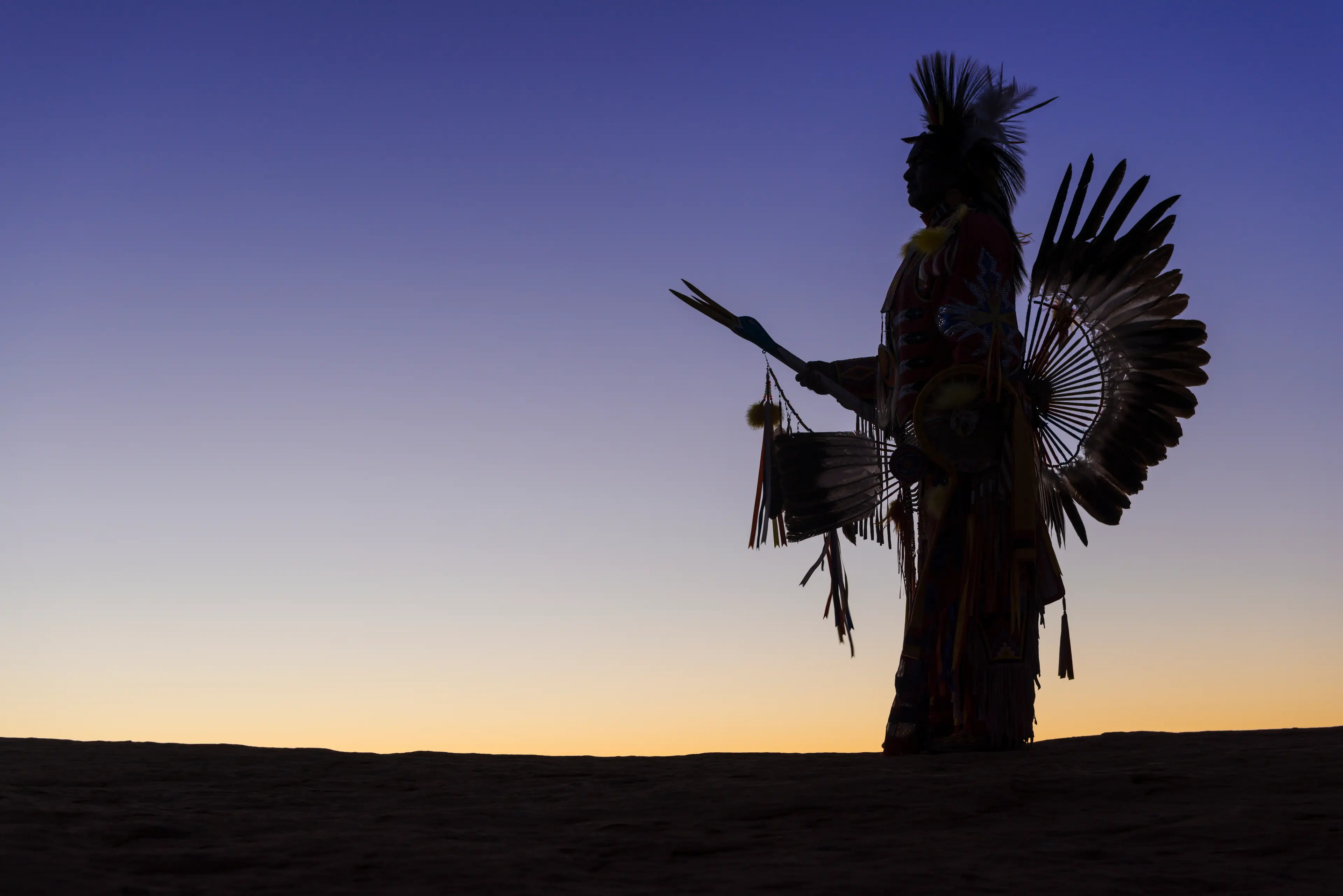 The scientists wanted to research how Native Americans came to the Americas.