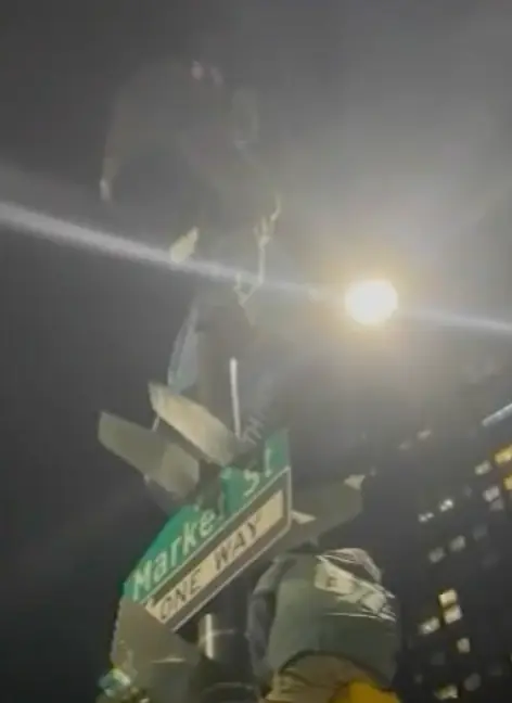 Footage showed Tyler climbing a light pole (ABC 6)