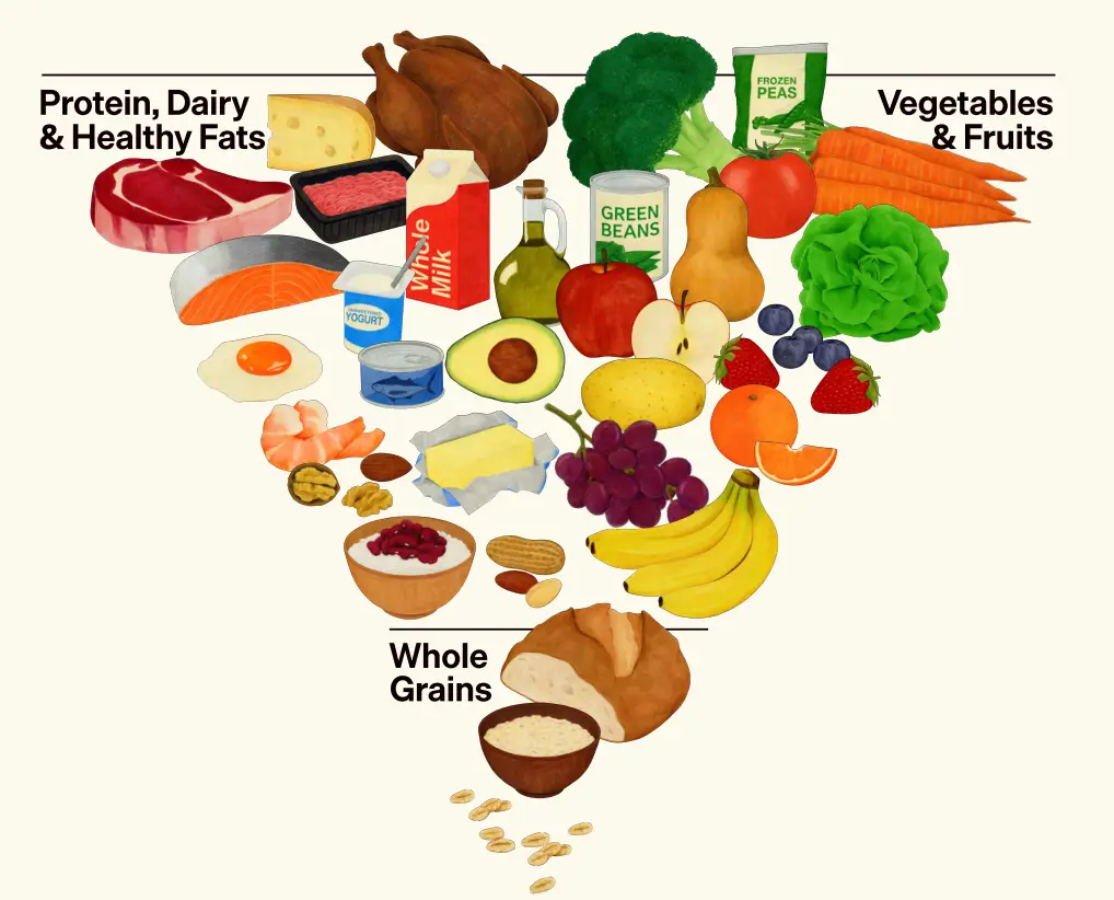 The USDA's guidelines image doesn't look far off Leyon's example (USDA)