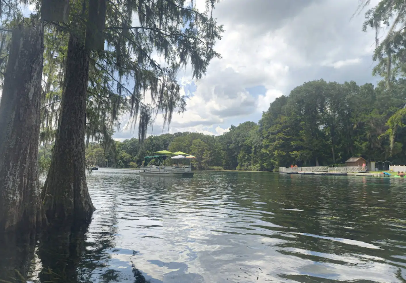 The divers were exploring Twin Caves in Florida (Google Maps)