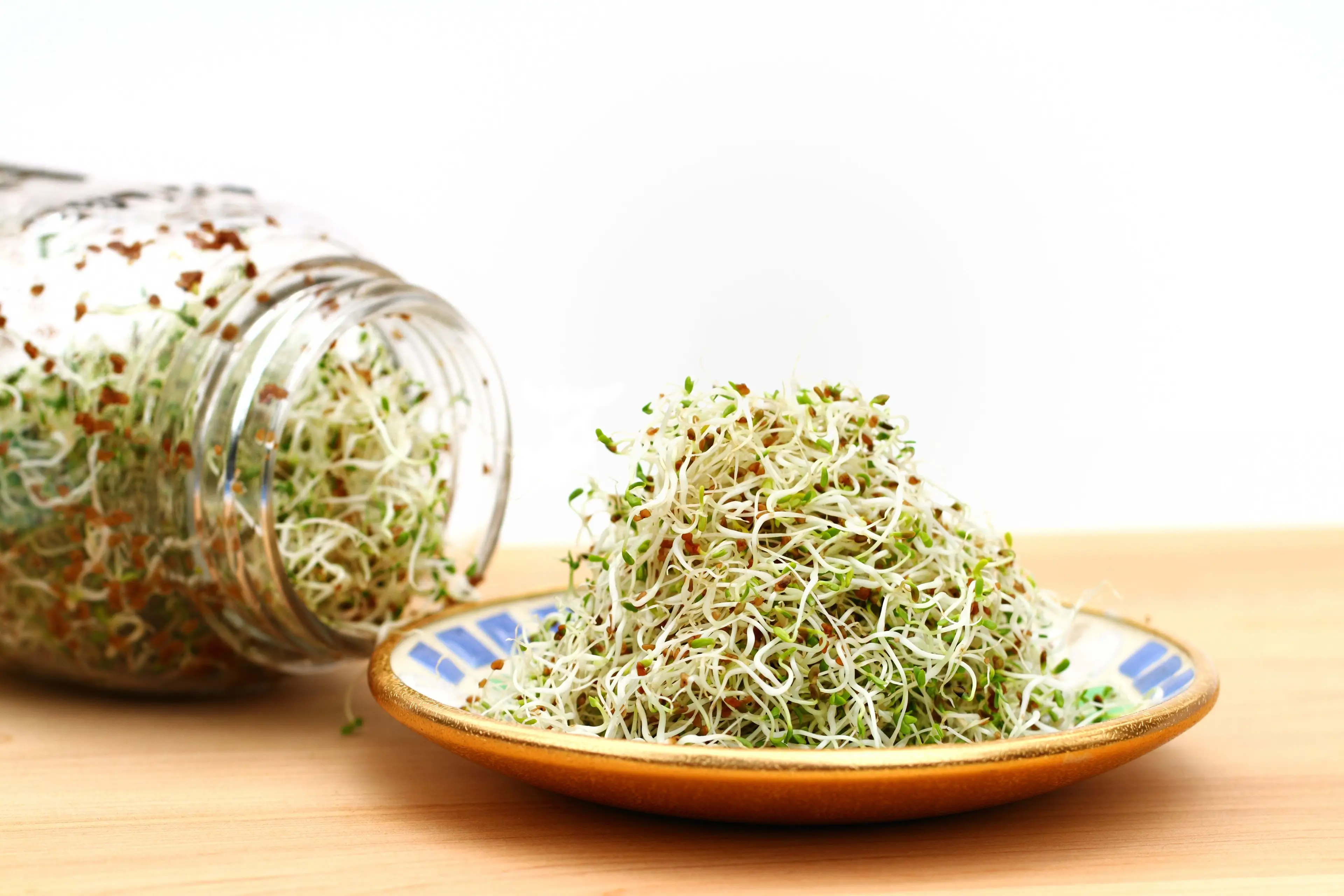 Raw sprouts can have harmful bacteria on them (Getty Stock Images)