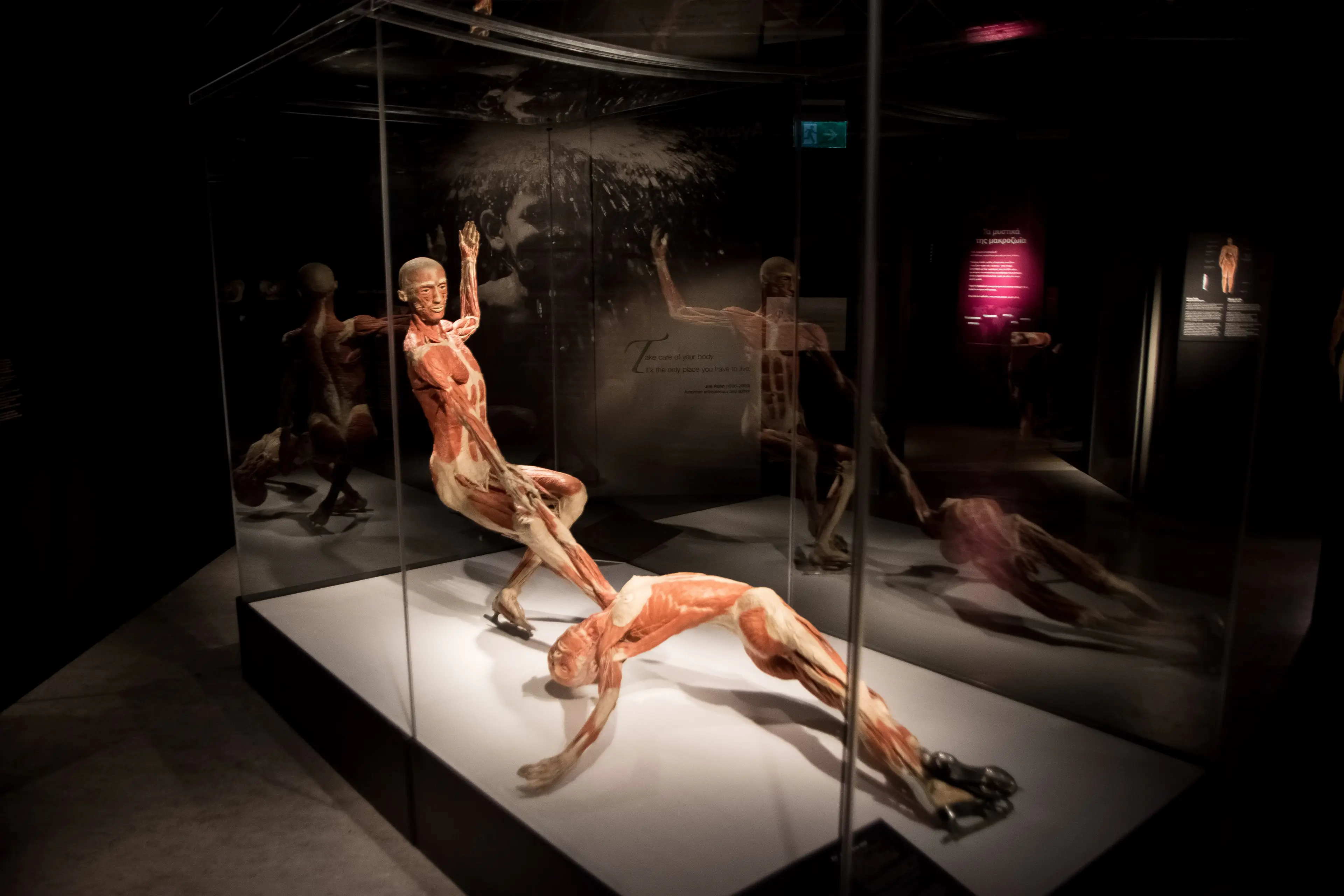 The controversial exhibition features real-life dead bodies (Nikolas Kokovlis/NurPhoto via Getty Images)