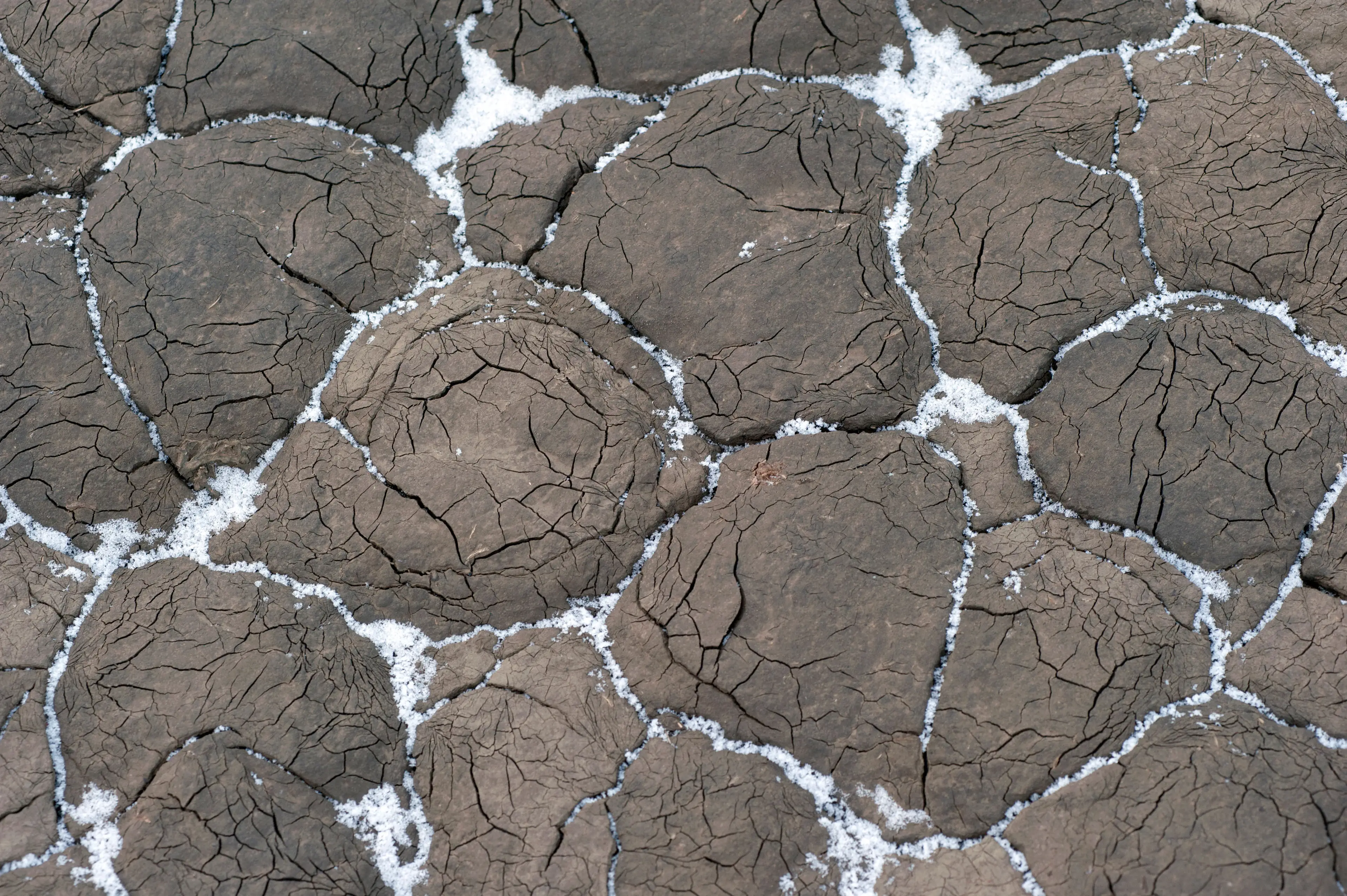 There's all sorts beneath the permafrost.