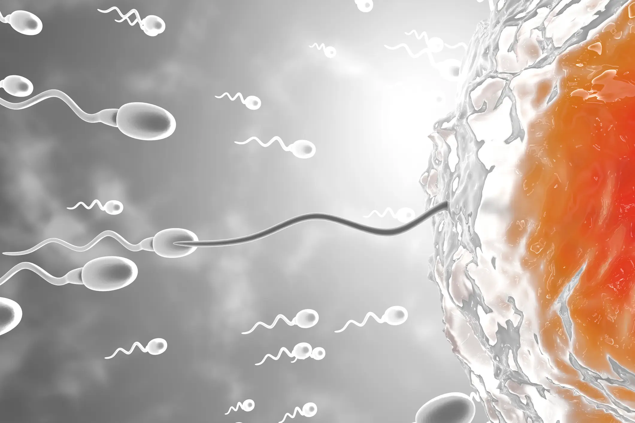 It's all about shining a spotlight on male fertility (Getty Images)