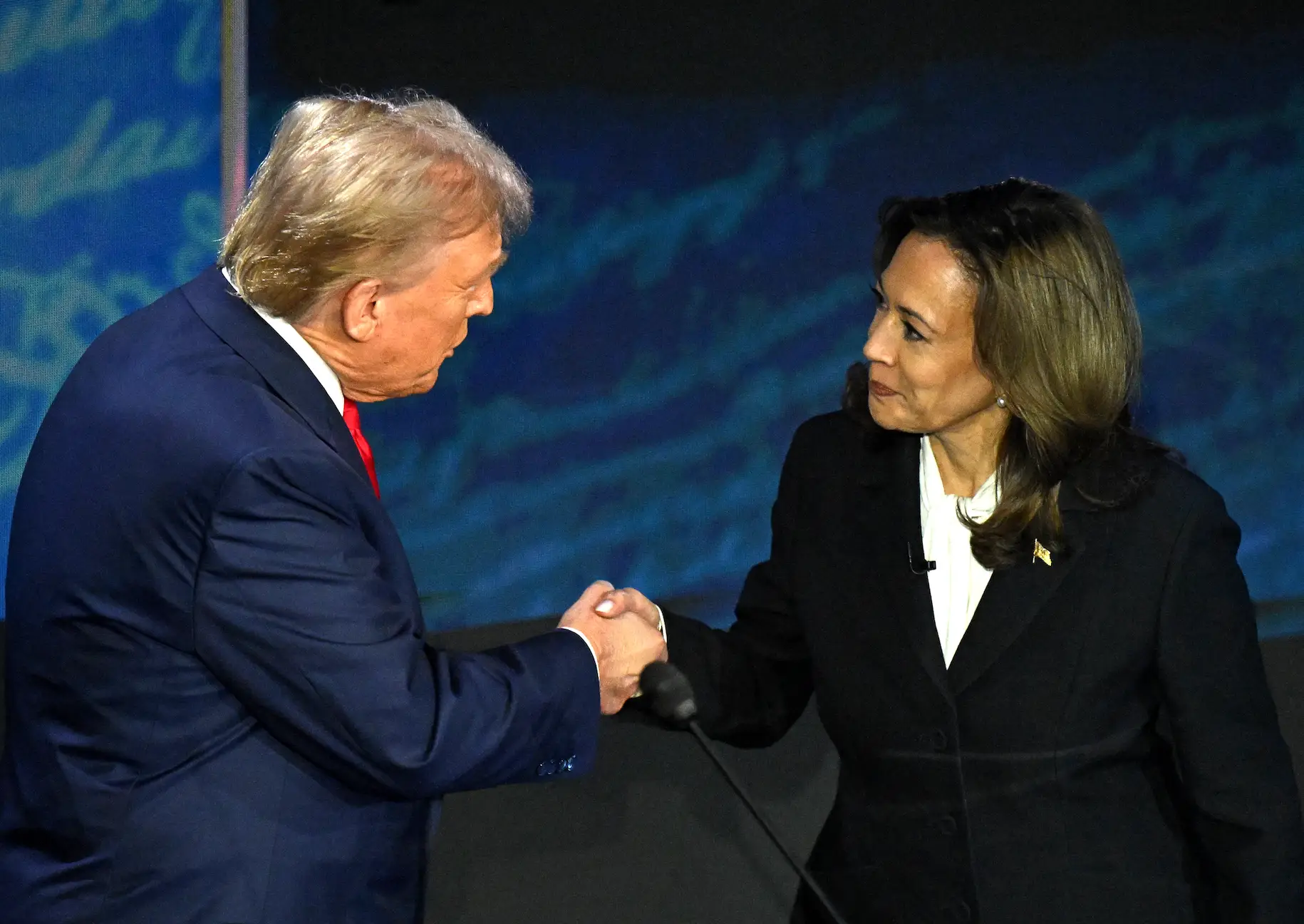 Donald Trump and Kamala Harris were 2024's presidential candidates (SAUL LOEB/AFP via Getty Images)