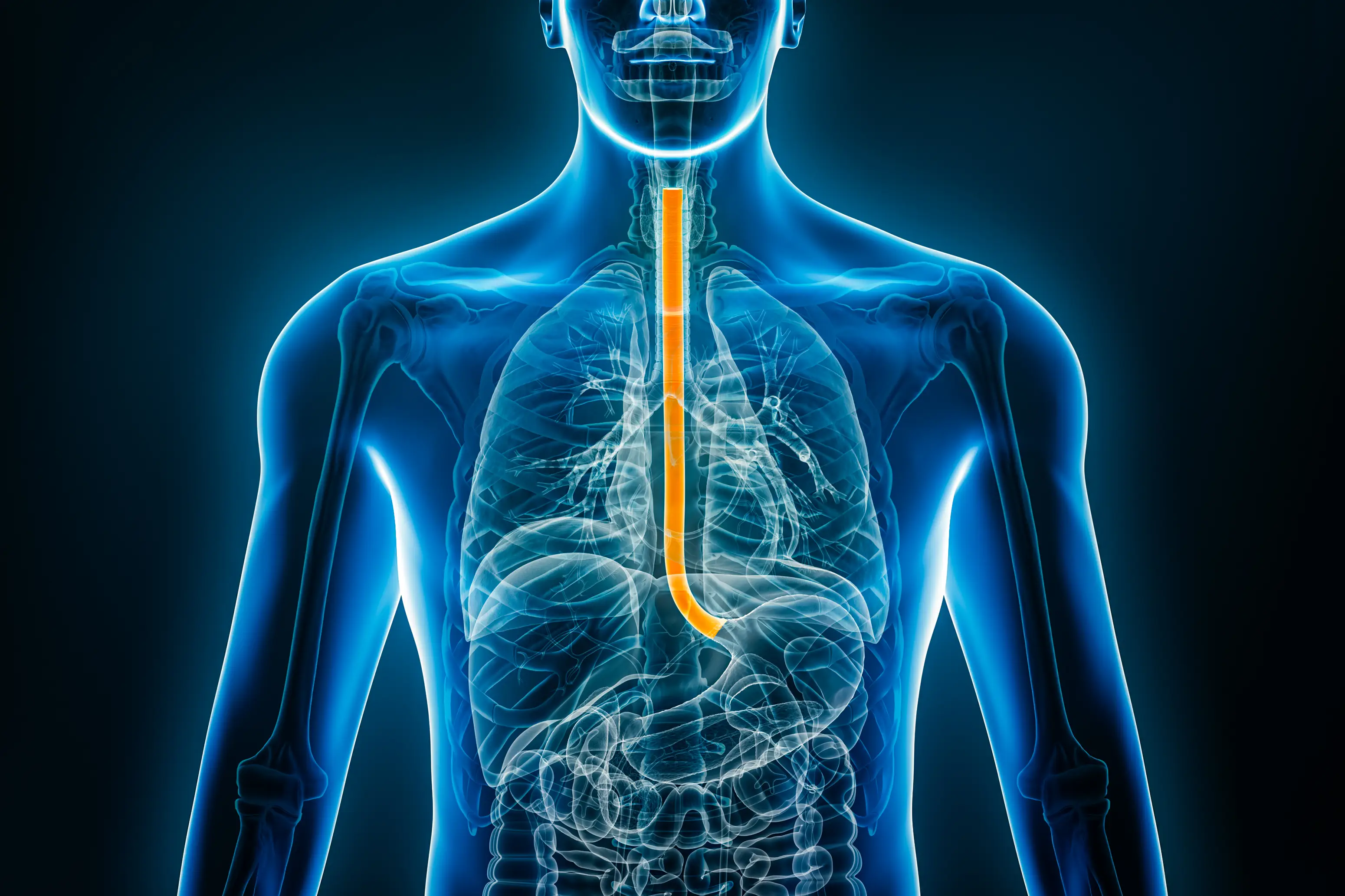 Symptoms of oesophageal cancer can be subtle (Getty Stock Image)