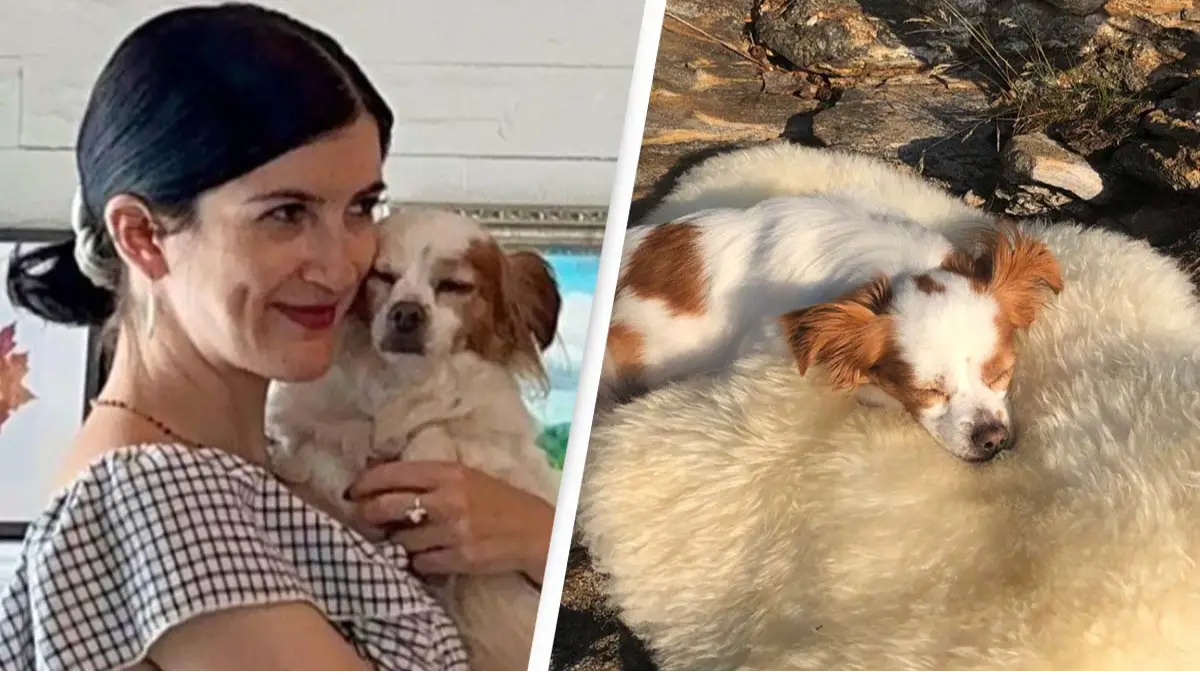 GoFundMe / X/@hannahcrileyy