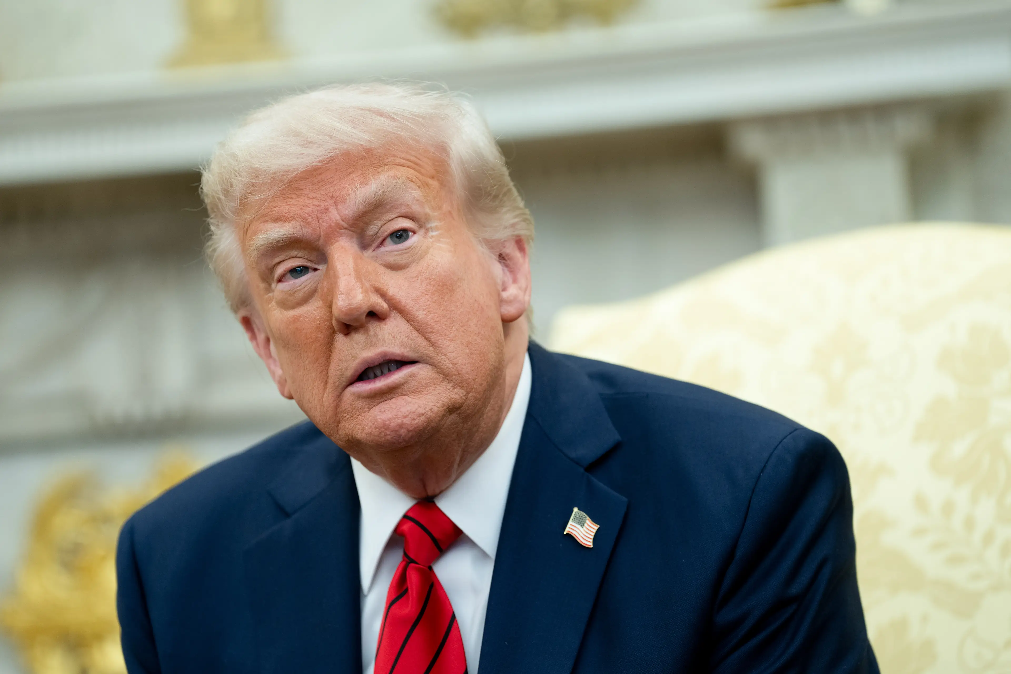 Donald Trump has introduced many tariffs since coming into office (Chris Kleponis/CNP/Bloomberg via Getty Images)