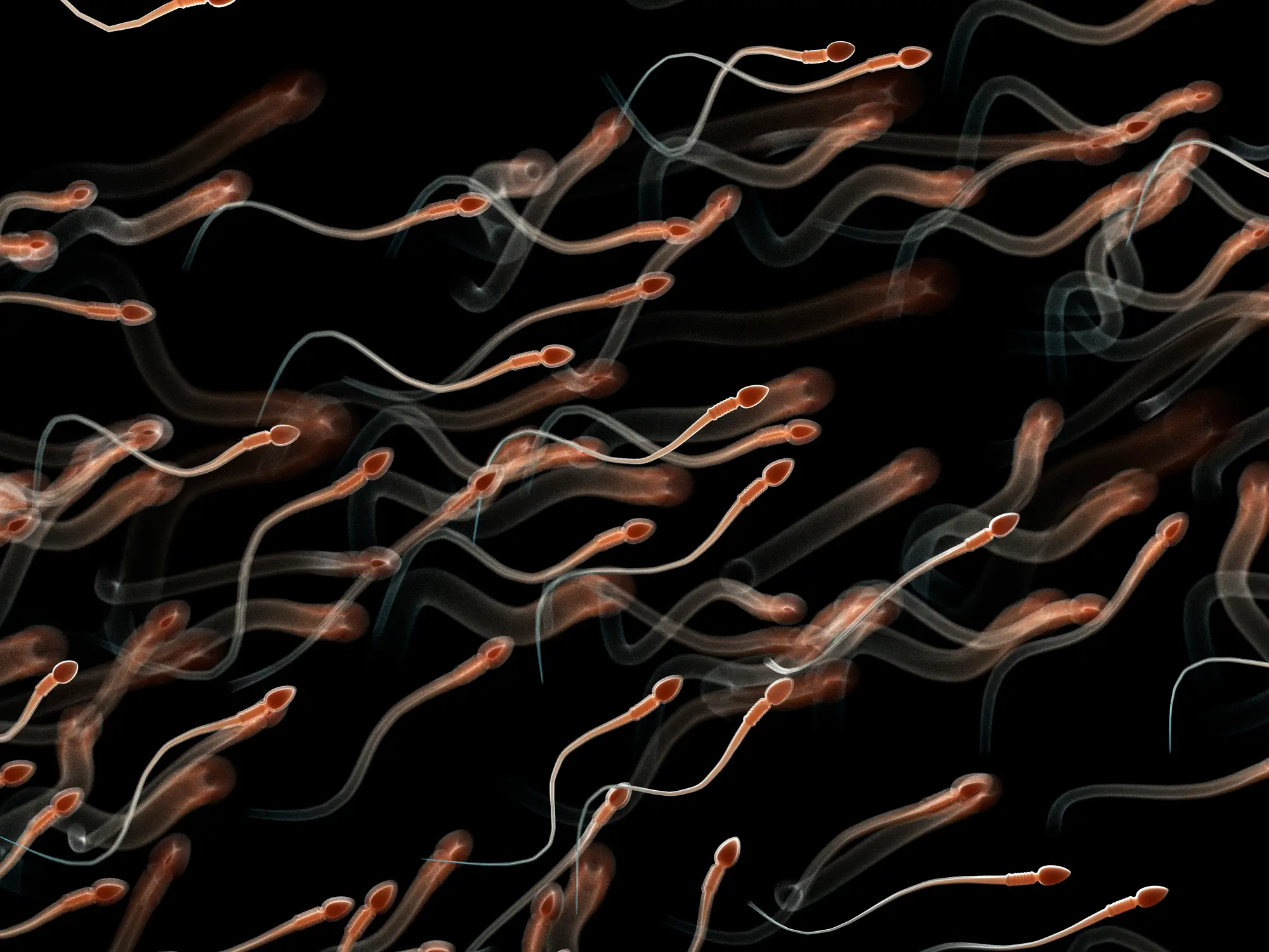 There are a number of causes of male infertility (Getty Stock Photo)