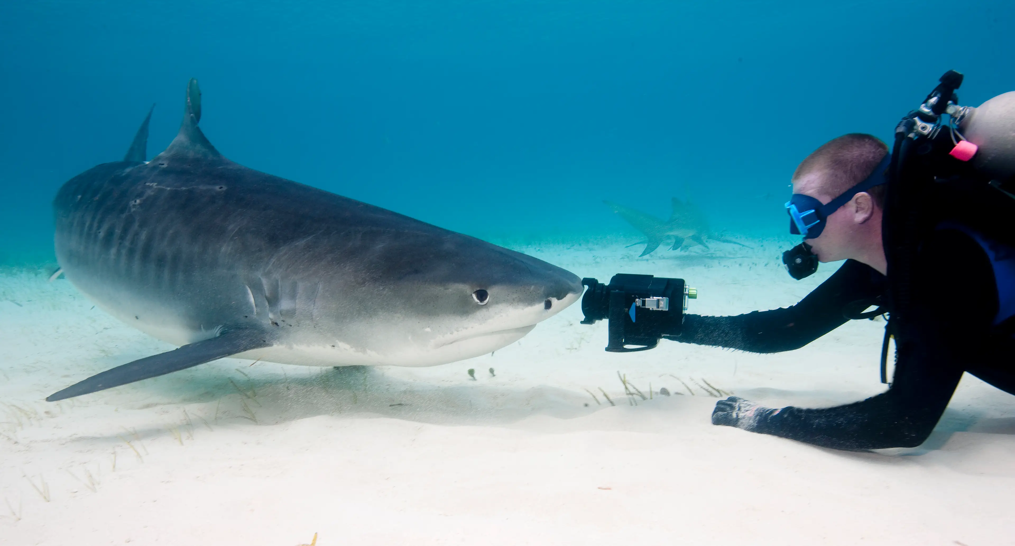 Needless to say, don't do this if you're not a professional. (Stephen Frink / Getty)