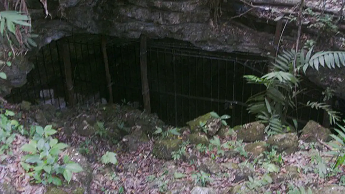 Noche de la pena/Wikimedia Commons