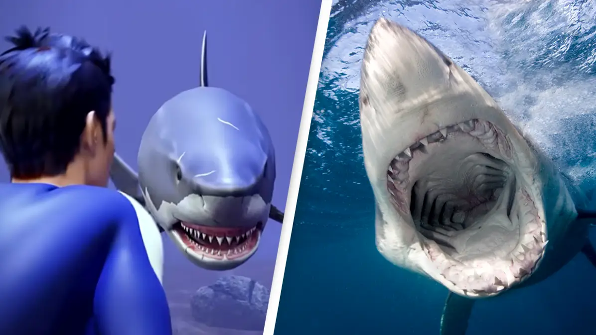 Terrifying simulation shows how to defend yourself in a shark attack but people say it's 'too hard'