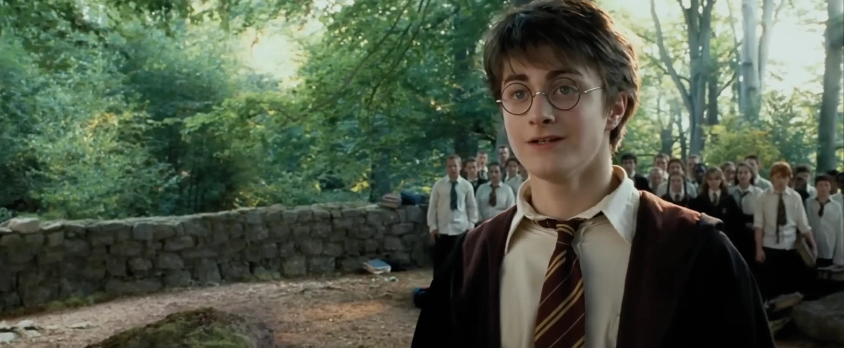 The Harry Potter star wrote an emotional tribute (Warner Bros.)