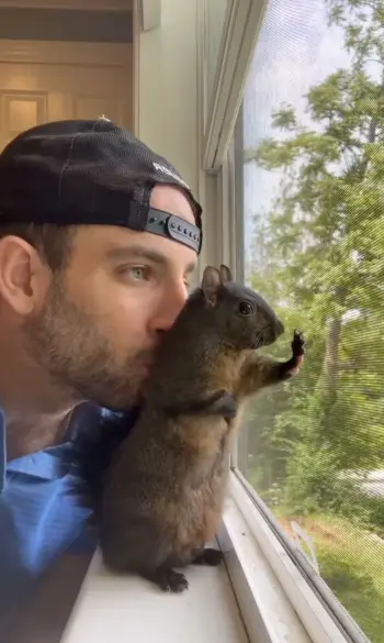 Peanut was euthanized by the state in October (Instagram/@peanut_the_squirrel12)