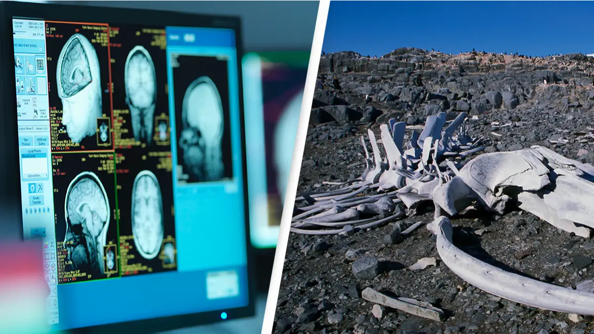 Monty Rakusen/Getty / Roger Tidman/Getty