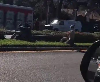 Zoo crew members capture crocodile (St. Augustine Alligator Farm Zoological Park/Facebook)