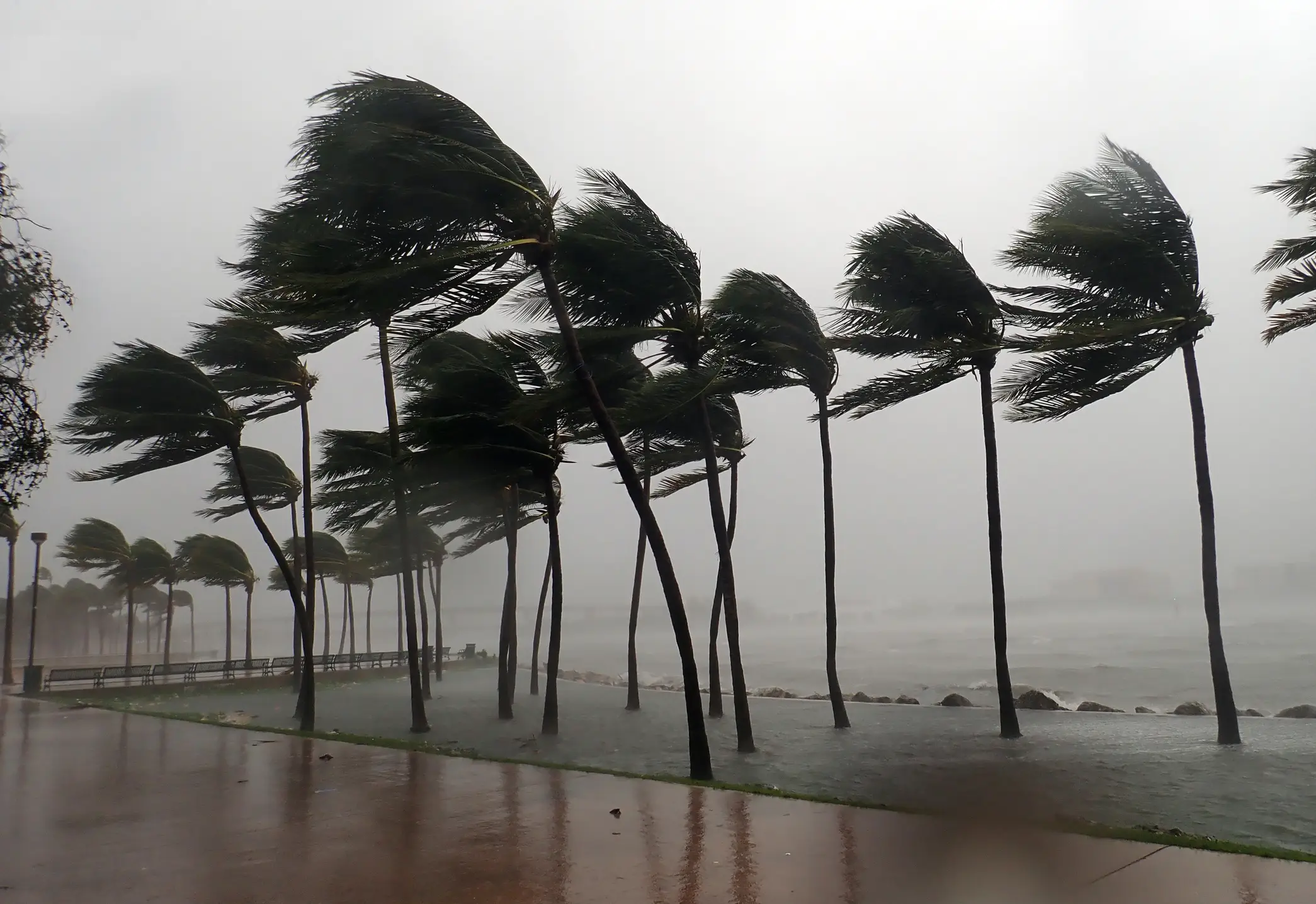 Hurricane Isaias is the first of the 2026 Atlantic hurricane season. (Getty Stock Images)