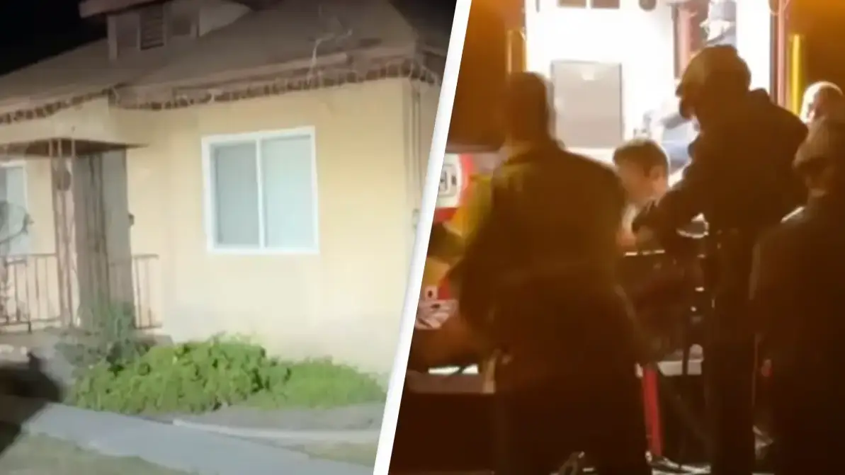 Woman who heard ‘animal noises’ under her house was shocked when she found out the truth