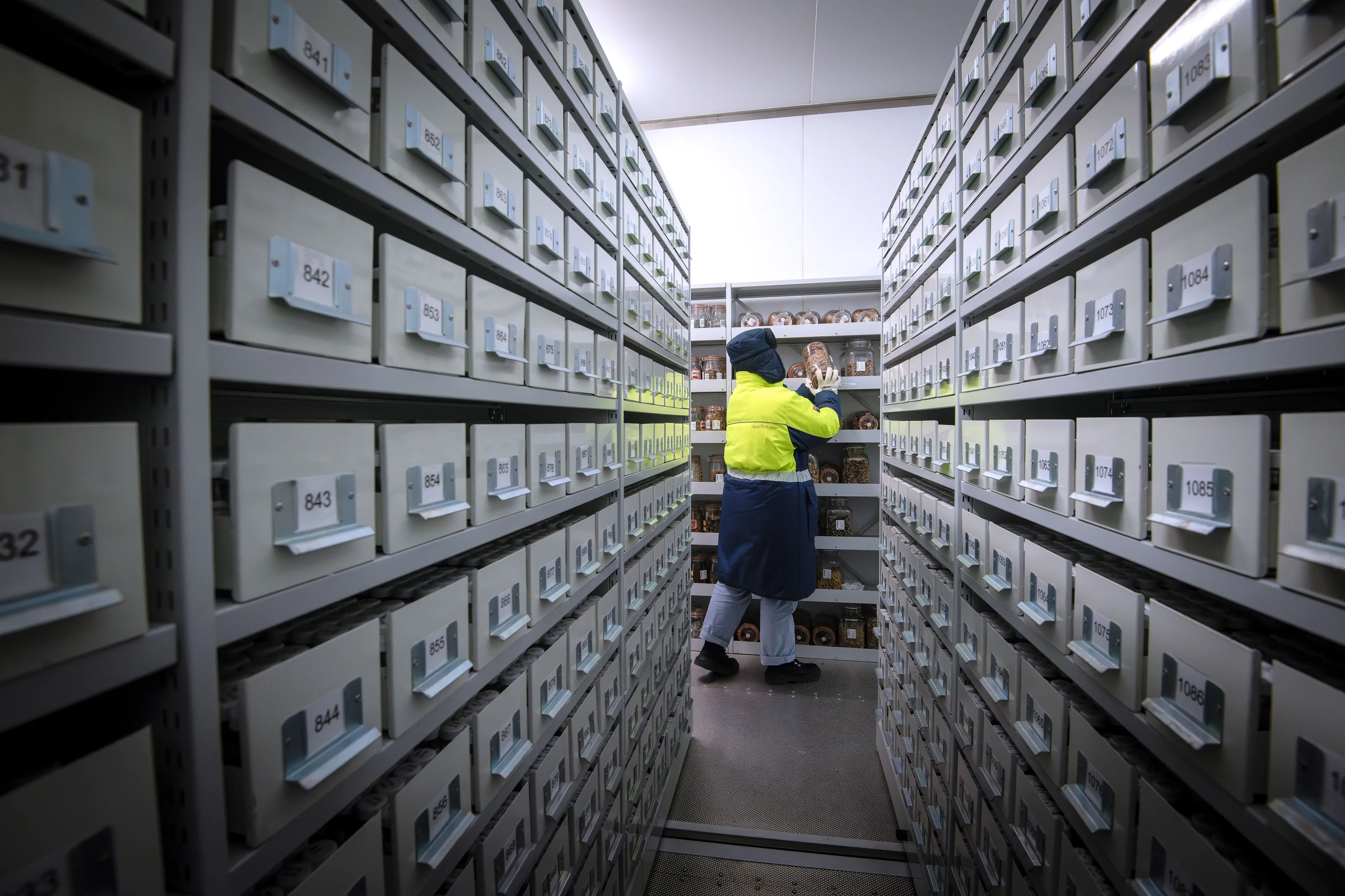 The seeds are stored in extremely cold conditions (Jeff Eden/RBG Kew/PA Wire)