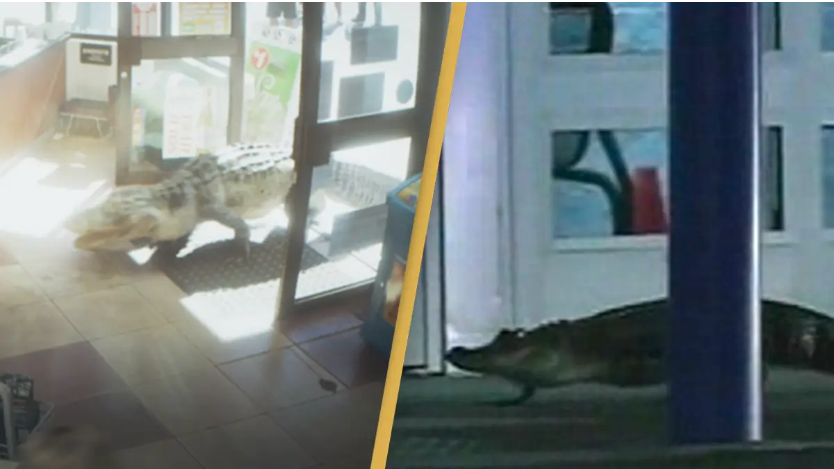 Rockstar Games/ WESH