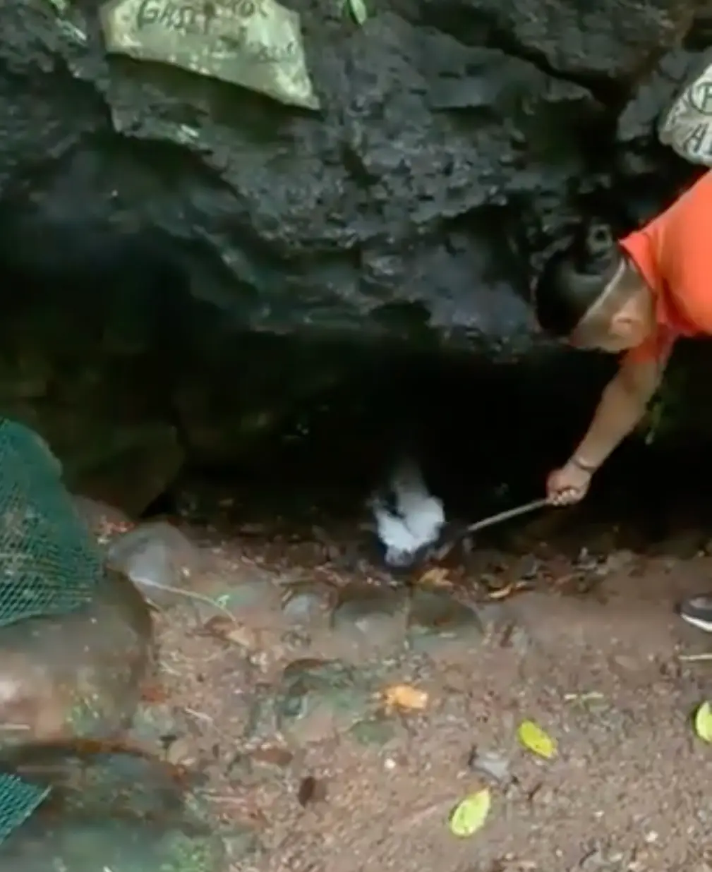 Imagine if you had tried to crawl in there with your head at ground level. (Reddit/ternera)