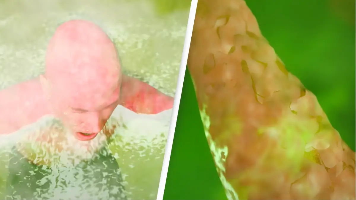 Youtube/Zack D. Films