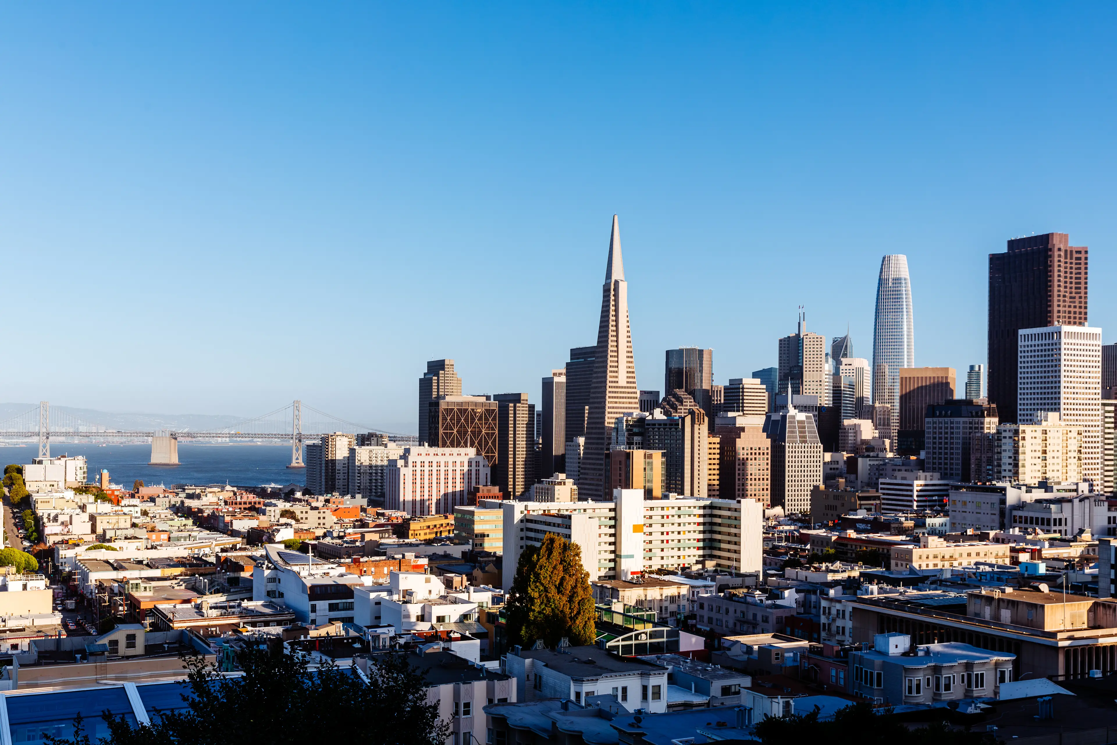 Any guesses? (Getty Stock Images) 