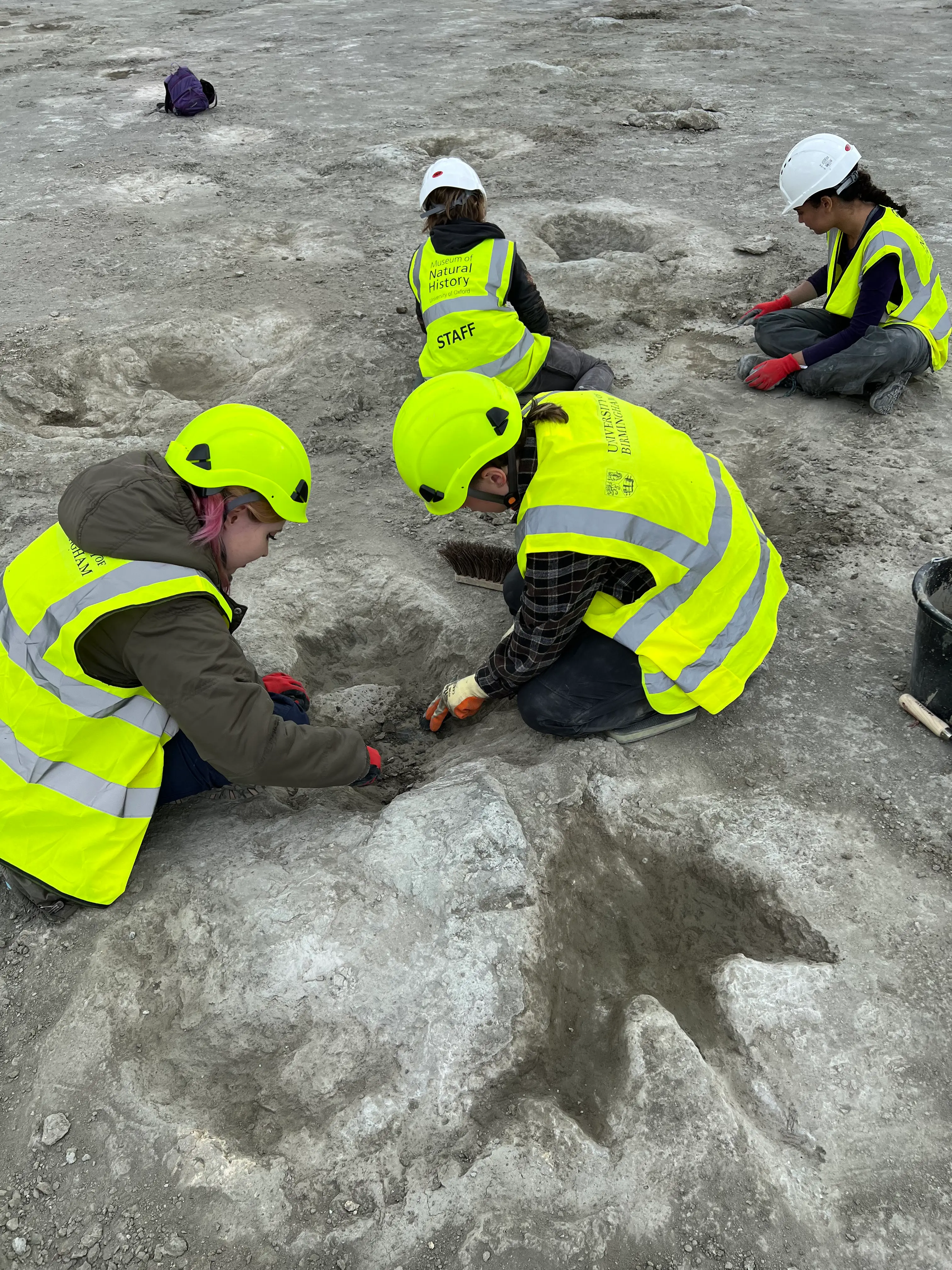 A 'dinosaur highway' has been discovered in Oxfordshire (Emma Nicholls/University of Birmingham/PA Wire)