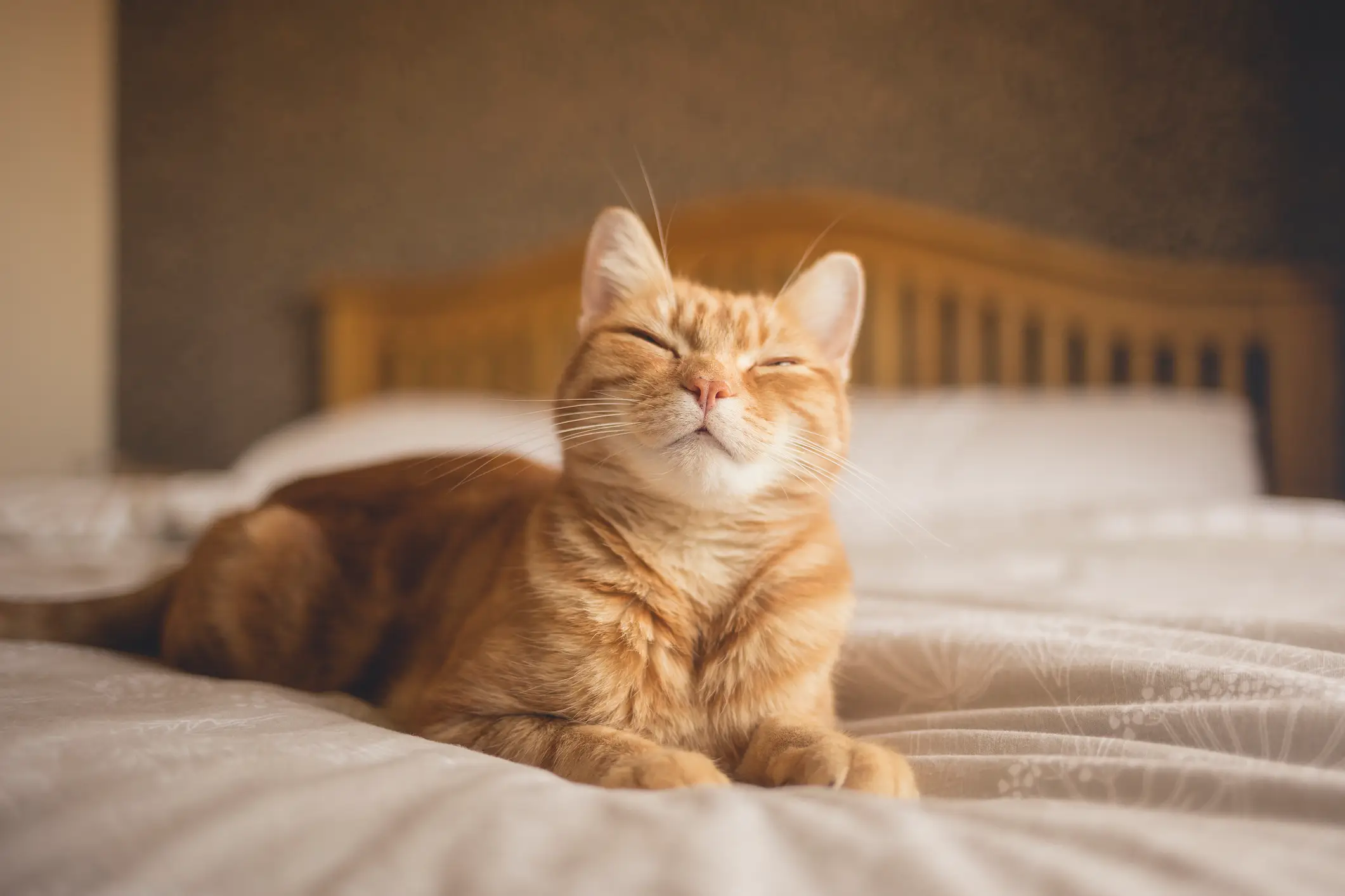 Could something this cute really do something so horrific? (Getty Stock Image)