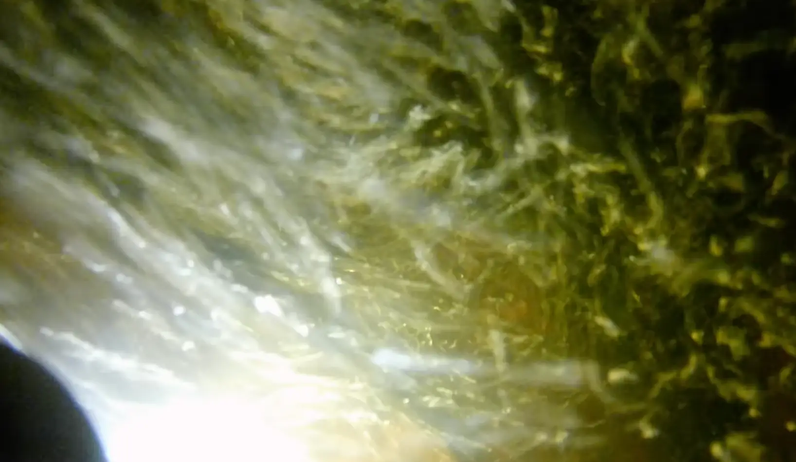 People were in awe of how many air bubbles were still there at 25 meters deep (@jackasnacks/YouTube)