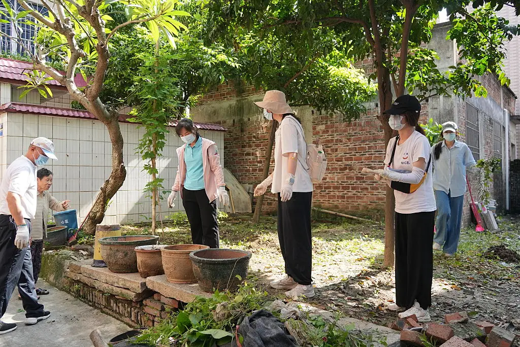 The Chikungunya virus was reported in 3,000 people in one week (VCG/VCG via Getty Images)