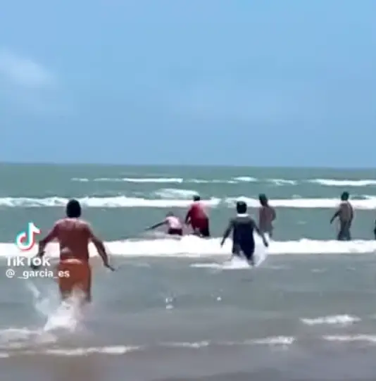 Graphic footage was released at the time showing the attack (CBS Texas)