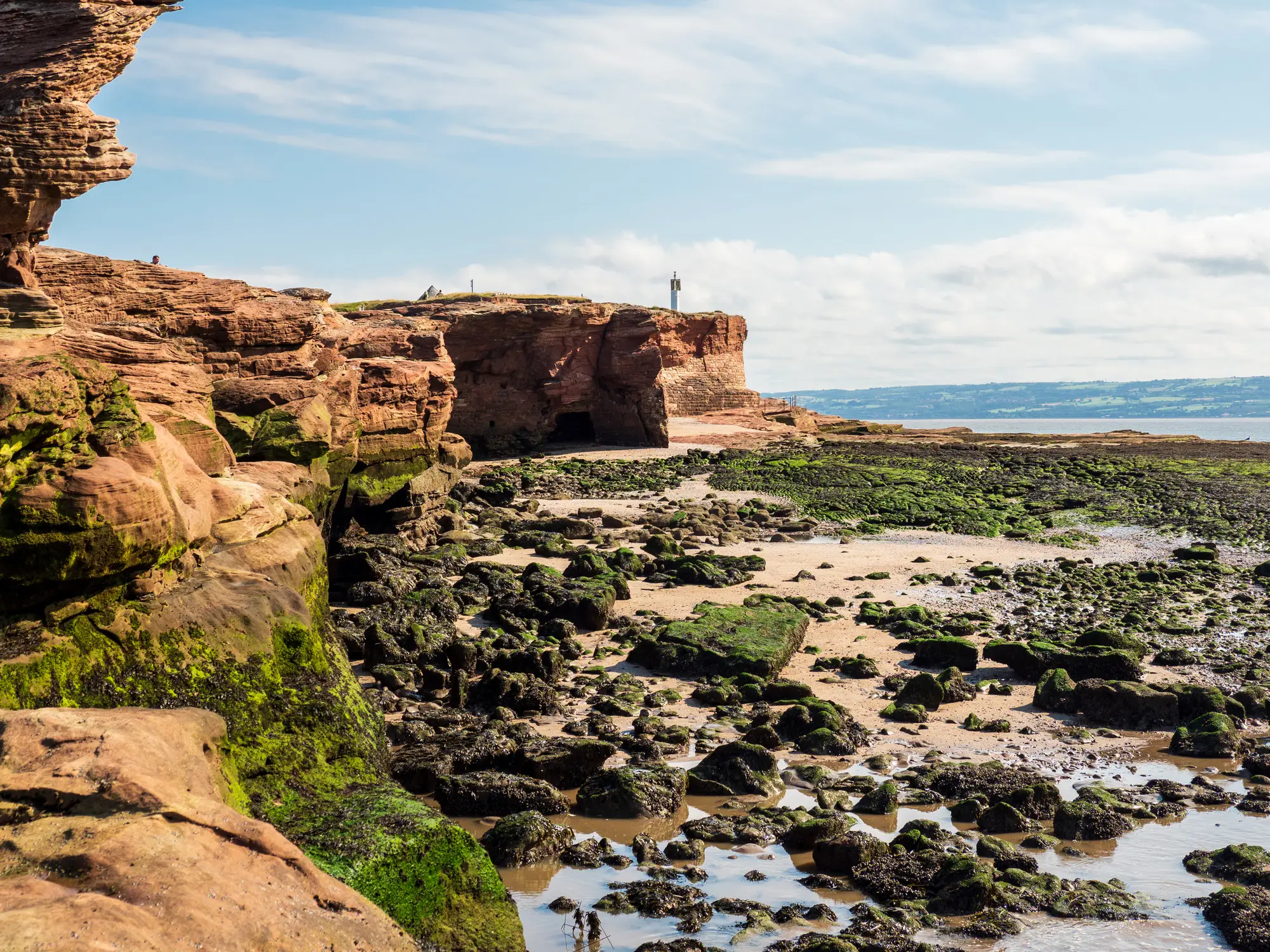 A new study has suggested that moss might be able to survive on Mars. (Getty Stock)