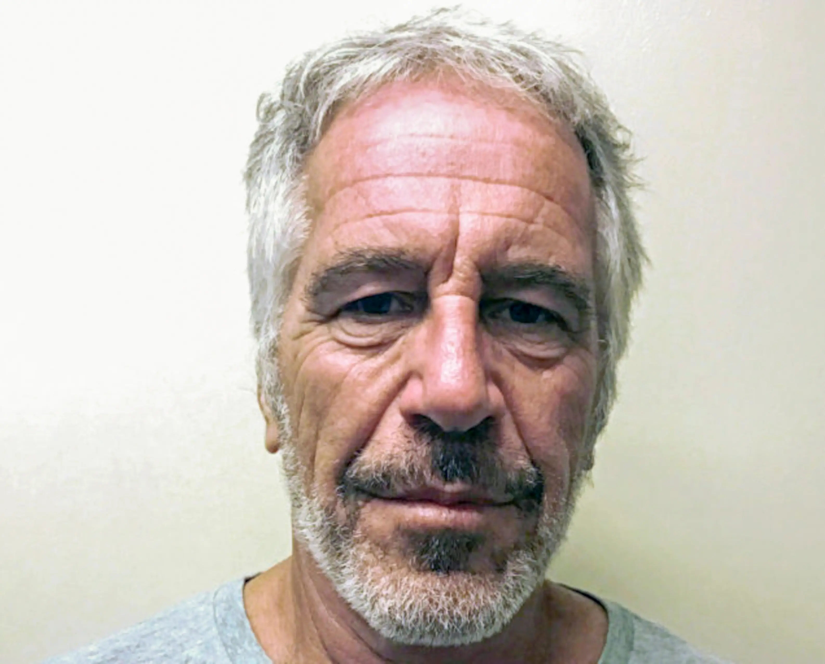 Jeffrey Epstein was found dead in his cell in 2019 (Kypros/Getty Images)