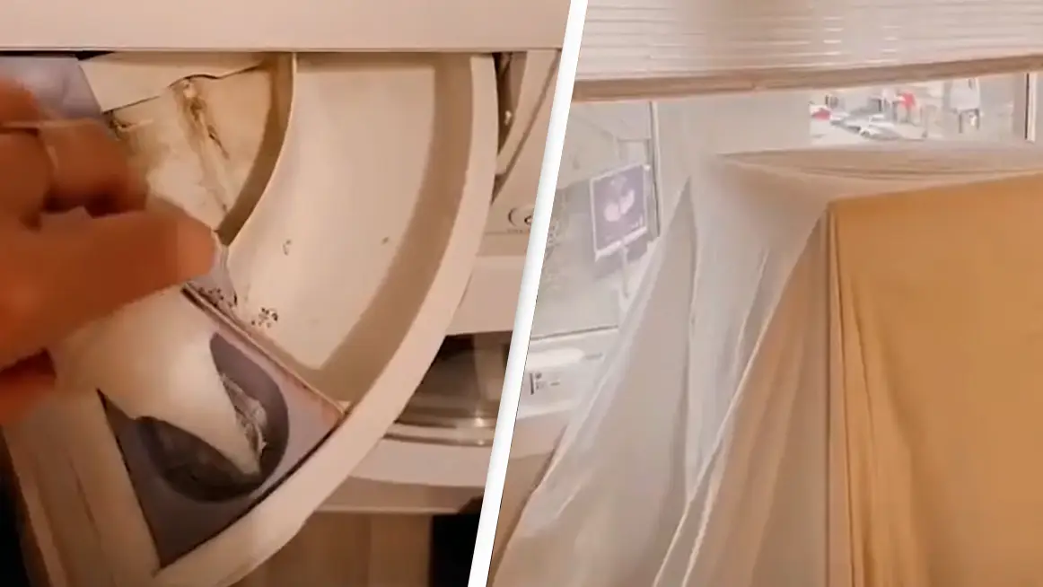 @alixybee/Tiktok/Jam Press