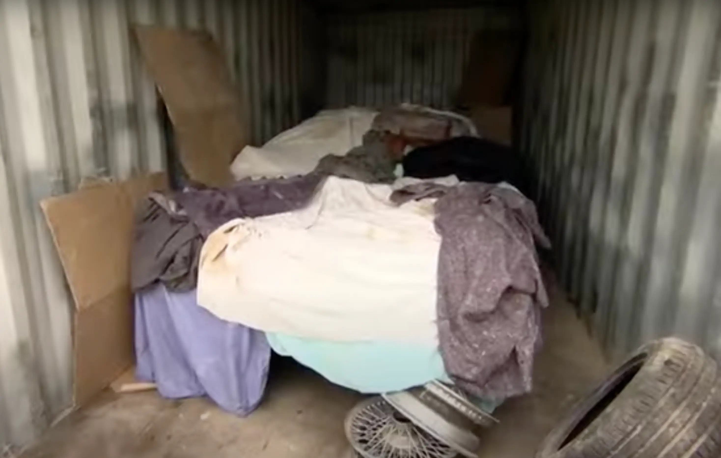 Bidders on Storage Hunters UK were given the chance to bid on a mysterious car inside a container (Dave)