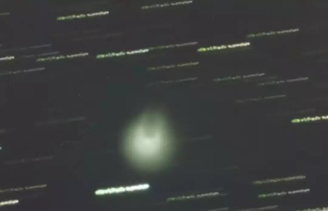 See, it has little horns!