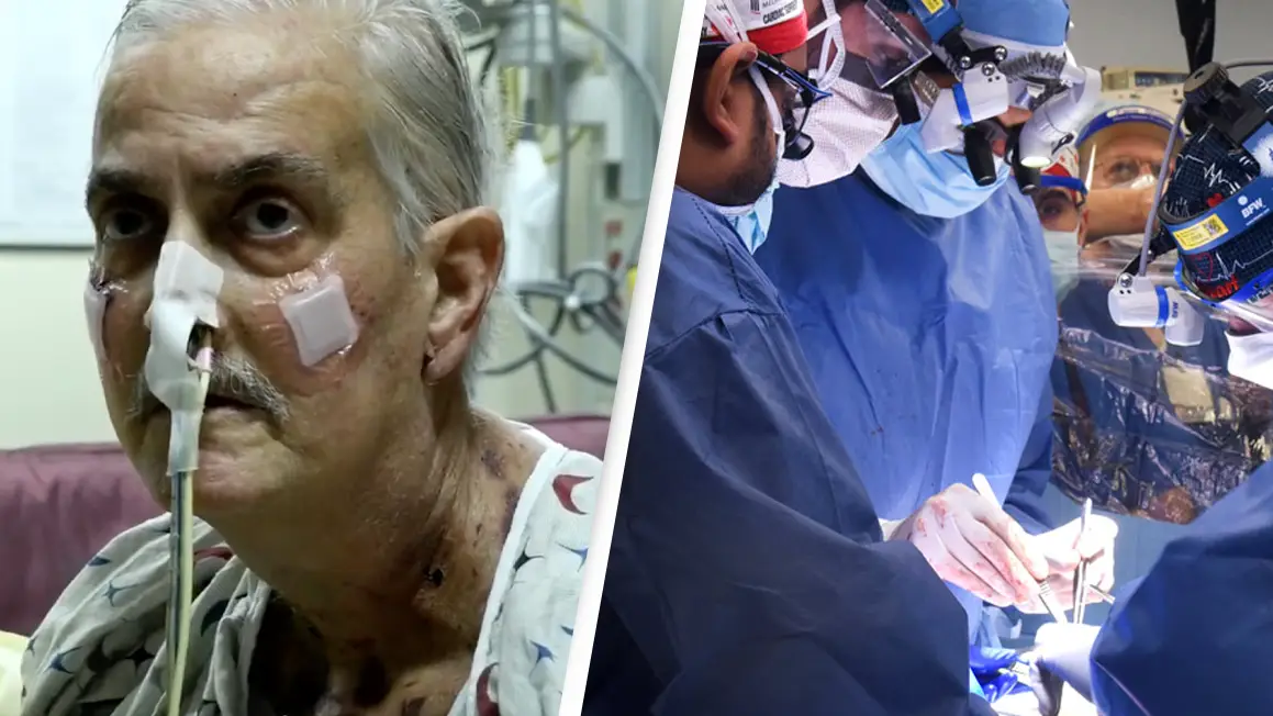 University Of Maryland School Of Medicine