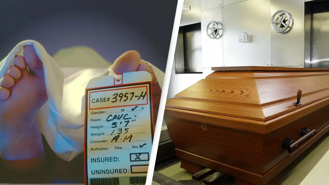 ArtPix / imageBROKER / Alamy Stock Photo